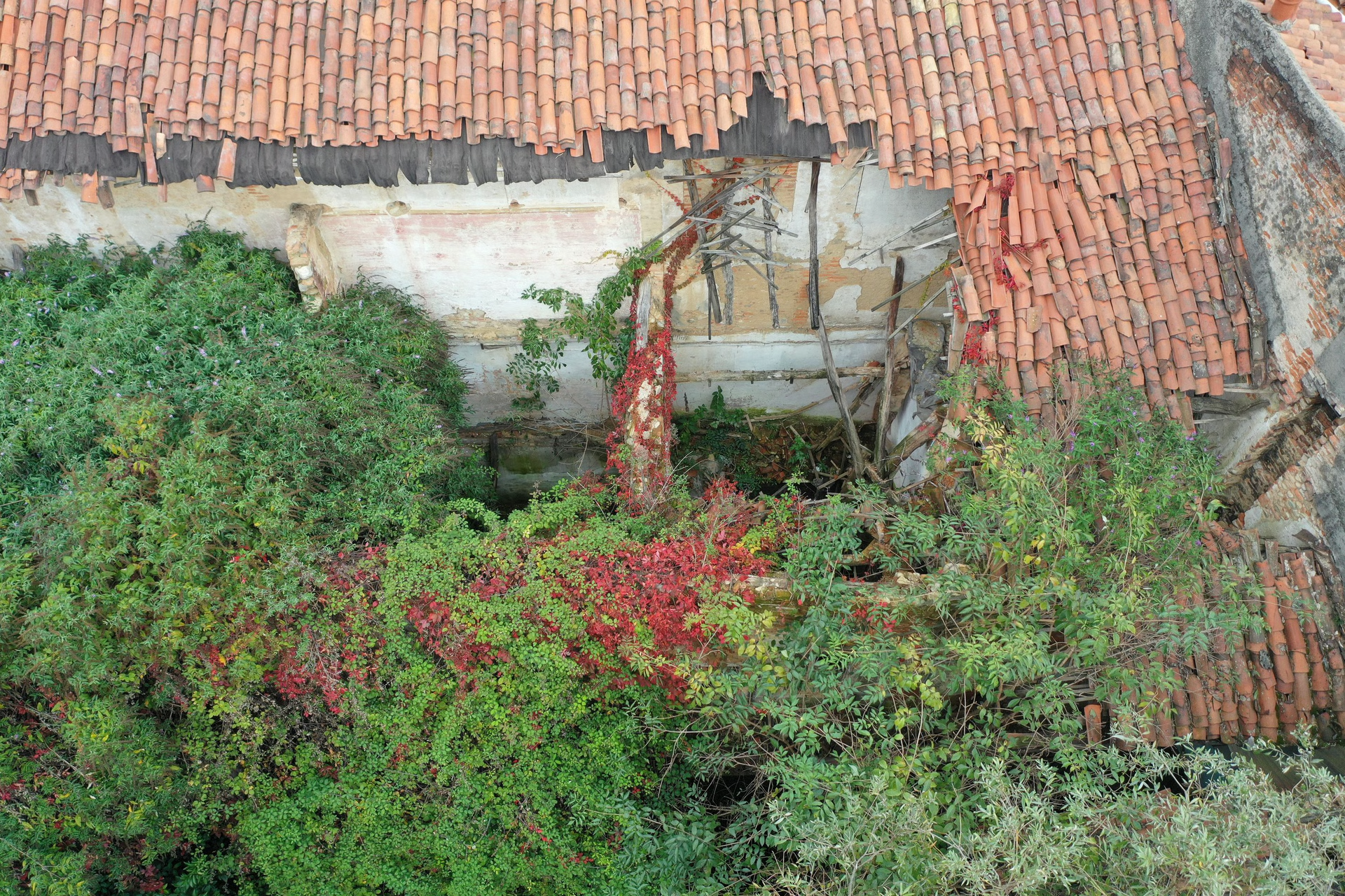 ‘Lacuna’, status quo, photos in 2021